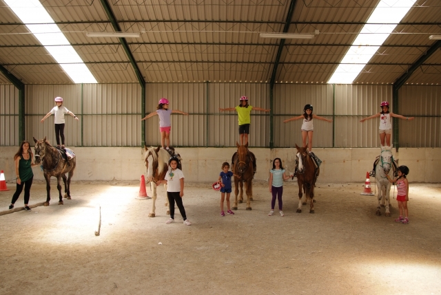 Pista de equitacion